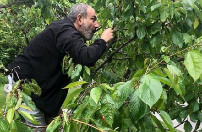 Մահճակալի տակ թաքնված ղեկավարը