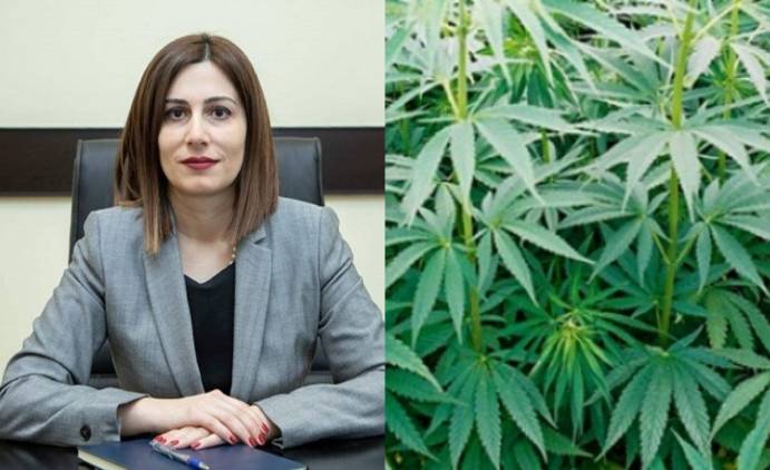 Անահիտ Ավանեսյանն առաջարկում է ավելացնել արտադրական կանեփի արտահանման քվոտաները