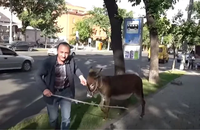 Էշով տղան անակնկալներ է խոստանում