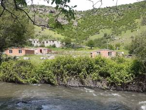 Աղավնոն շարունակում է ապրել ... (լուսանկարներ)