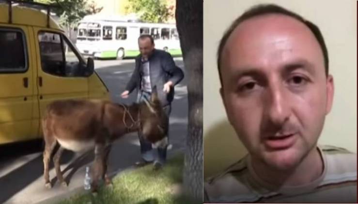 Կոտրել են էշով տղայի ատամը