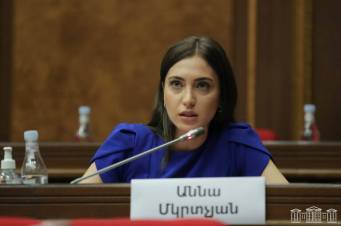 «Հրապարակ». Աննա Մկրտչյանի դեմ գո՞րծ են տվել․ ով ինչպես է անլրջացնում թեման