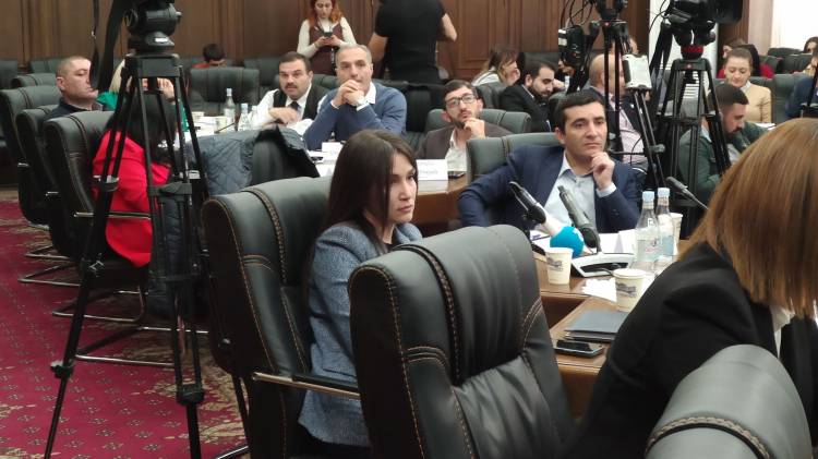 Գերծանրաբեռնվածության պատճառն այն է, որ վարչական մարմինները հիմնականում թերի են աշխատում. դատավոր Ռուզաննա Ազրոյան (տեսանյութ)