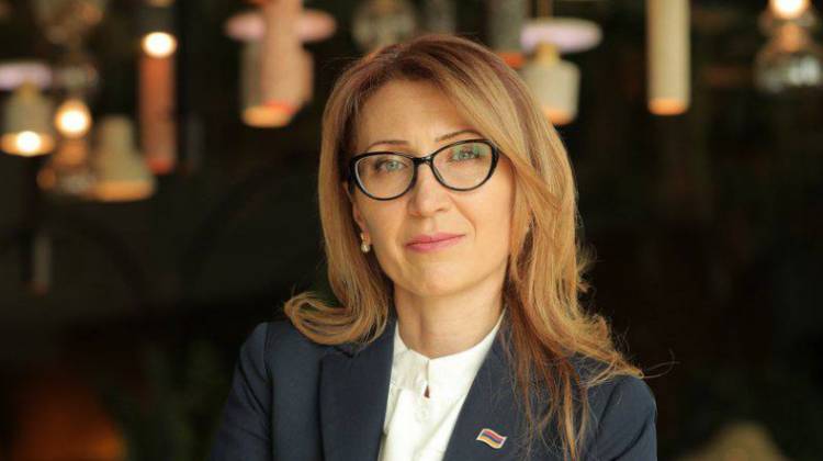 Ալիևը պետք է նահանջի այս ճանապարհով, ընդունի առաջարկը և դադարեցնի շրջափակումը. Մանե Թանդիլյան