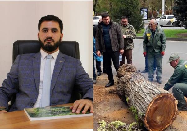 «Հրապարակ». Ծառահատումները դադարեցվել են մինչեւ աշուն՝ երեւանցիներին սթրեսի չենթարկելու համար