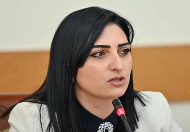 «Հրապարակ». Թագուհի Թովմասյանին պաշտոնից հանելու հարցին կանդրադառնան ԱԺ արտահերթ նիստում