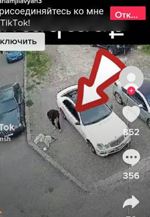 Շանը խոշտանգողը պատժվել է