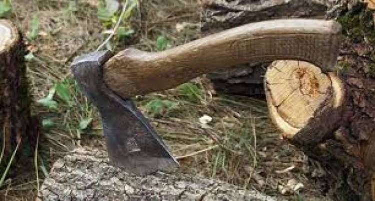 Մեր ծառը կտրող կացնի կոթը մեզանից է․․․