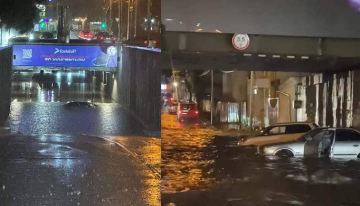 Ինչի հետևանք էր տեղի ունեցածը՝ ըստ Արեյանի