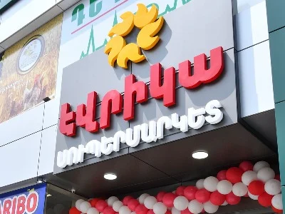 Խուզարկությունների պատճառով խափանվել են «Էվրիկա» ցանցի սերվերները