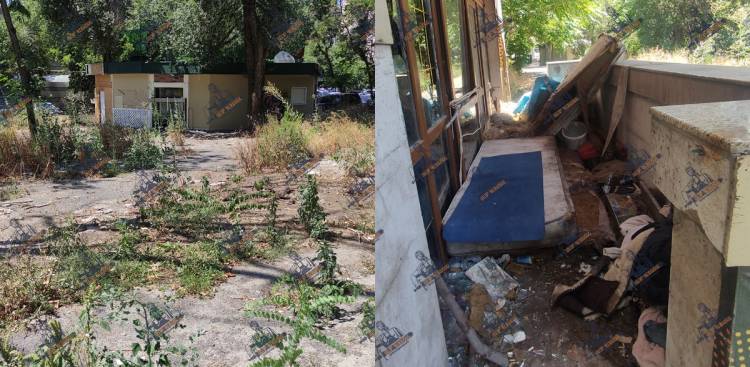 Օղակաձև զբոսայգու «ողջ հմայքը» (լուսանկարներ, տեսանյութ)