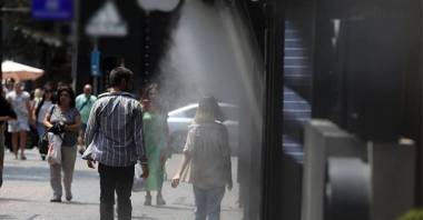 Բույրերը մատնում են ամեն ինչ