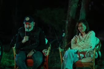 Պրիմիտիվ ծրագիր