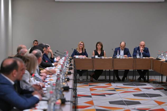 «Հրապարակ»․ Աննա Հակոբյանն էլ ելույթ ունեցավ՝ բա հո չէ՞ր եկել մեզ լսելու