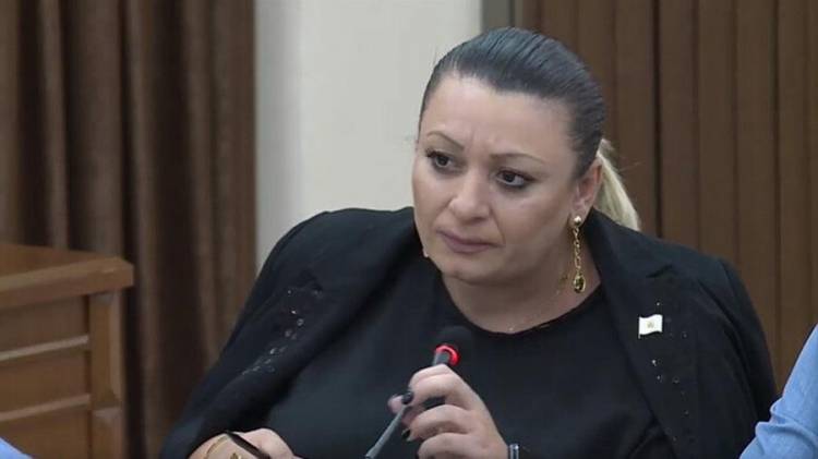 Եթե ինձ մնար` տրանսպորտը կթանկանար ավելի շատ. Անի Խաչատրյան