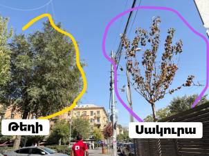 Նորաձև ցախավելը և նորաձև կրթությունը․ նու՛յնն են