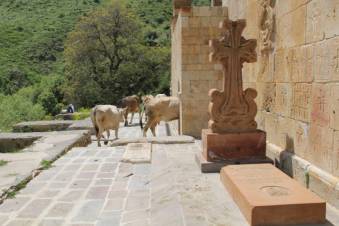 Խորհրդային ժամանակներում չորքոտանիներ էլ են մտել սրբավայրեր