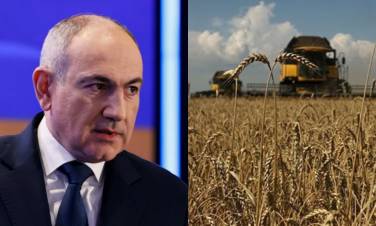 «Հրապարակ». Ինչ կարգի եւ ինչով վարակված ցորեն է Փաշինյանը ներմուծում Հայաստան