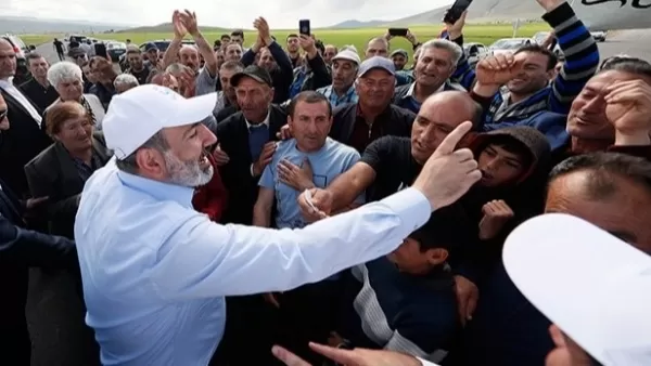 Նիկոլականի դիմանկար