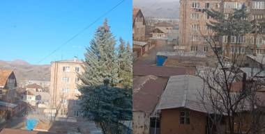 «Հրապարակ»․ Եղեւնիներն այլանդակվել են դենդրոլոգի եզրակացությամբ