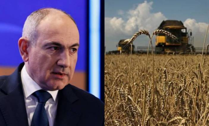 Եթե իշխանությունը չորրորդ կարգի է, մեզ  տված ցորենը ո՞ր կարգի պիտի լինի
