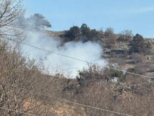 Դիլիջանում նորից հրդեհ է