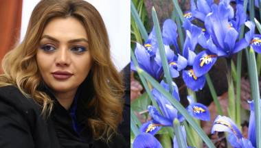 Վերջապես պարզեցինք, թե ինչ է «բրբսնյակը»