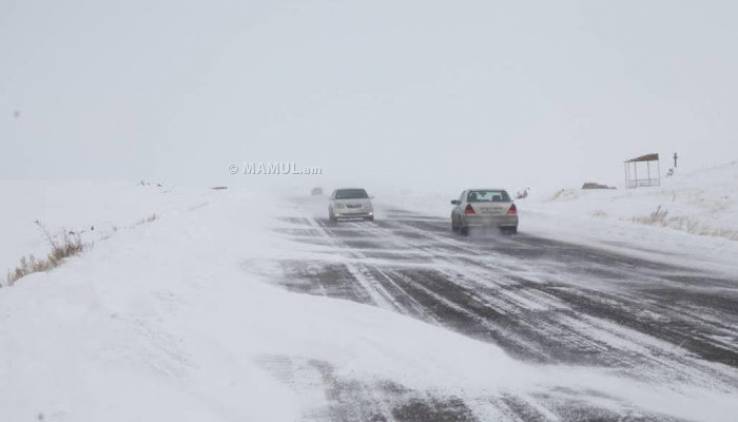 Որ տարածաշրջաններում է բուք