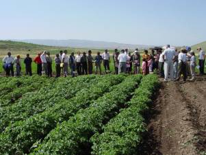Ուզում են աջակցել  ֆերմերներին