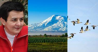 Հայաստանի չվող բարձրաստիճան թռչունները