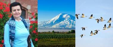 Հայաստանի չվող բարձրաստիճան թռչունները