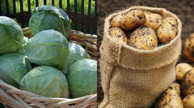Գեղարքունիքում կարտոֆիլ, կաղամբ իրացնելու լուրջ խնդիր է առաջացել