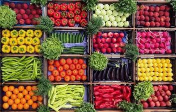 Իրանը ցանկանում է Վրաստանում և Ադրբեջանում արտերկրյա մշակաբույսերի նախագծեր սկսել․ ԻՌՆԱ
