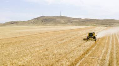 Ադրբեջանը Զանգելանում առաջին բերքն է հավաքում 