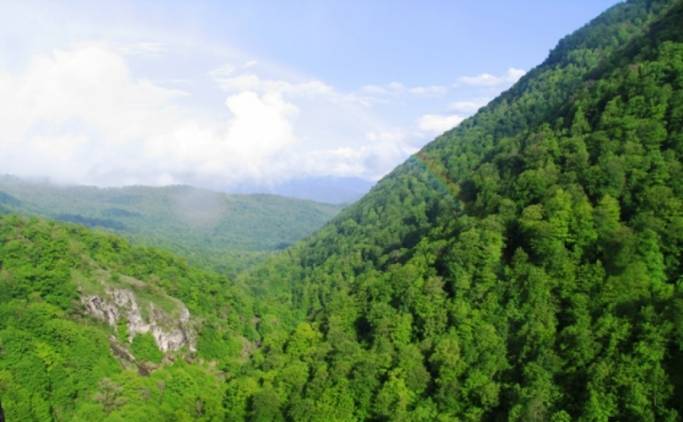 Սև ամպեր՝ «Հրազդանի անտառտնտեսություն» տնօրենի գլխին 