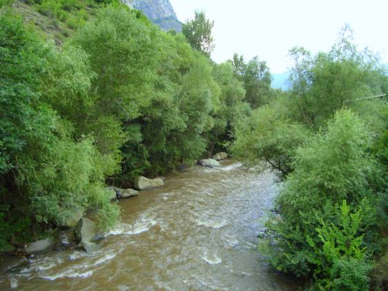 Աբովյանի կույուղաջրերը լցվում են բաց դաշտ. ահազանգում են աբովյանցիները