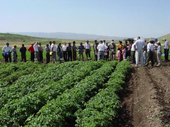 Ուզում են աջակցել  ֆերմերներին