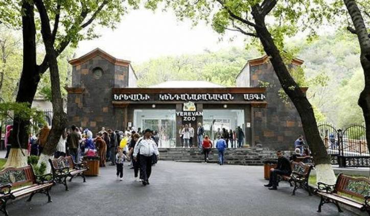 Աշխատանքից ազատման դիմումս ստորագրեցին իմ փոխարեն