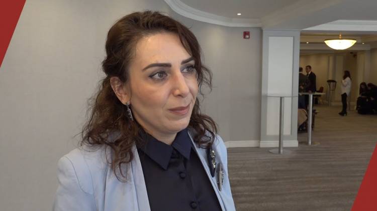 Միայն պատգամավորի լուսանկարը բավարար չէ վարույթ ընդունելու համար