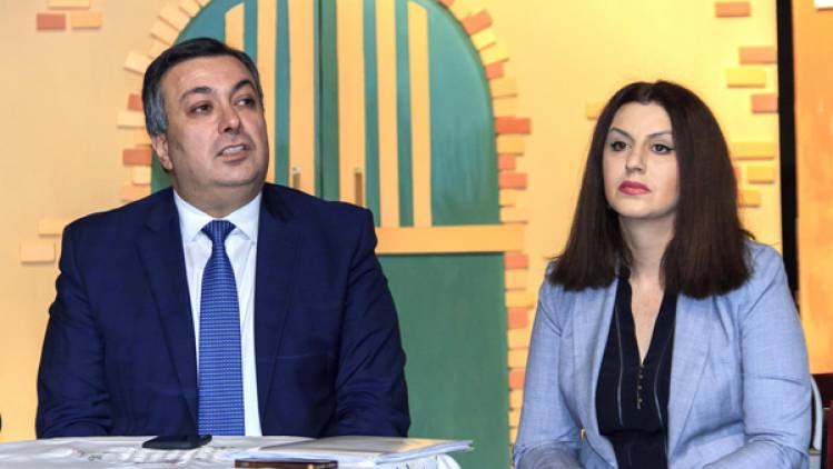 Այս նախարարության հետ աշխատելու հեռանկար չեմ տեսնում