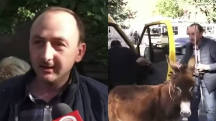 Էշով քաղաքացու դեմ ոստիկանությունը նյութեր է նախապատրաստում