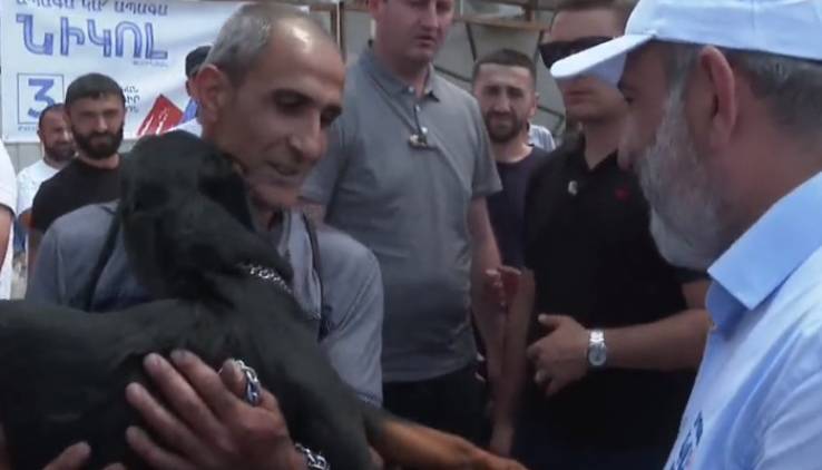 Փաշինյանին շուն նվիրած քաղաքացին ընտրելու իրավունք չունի
