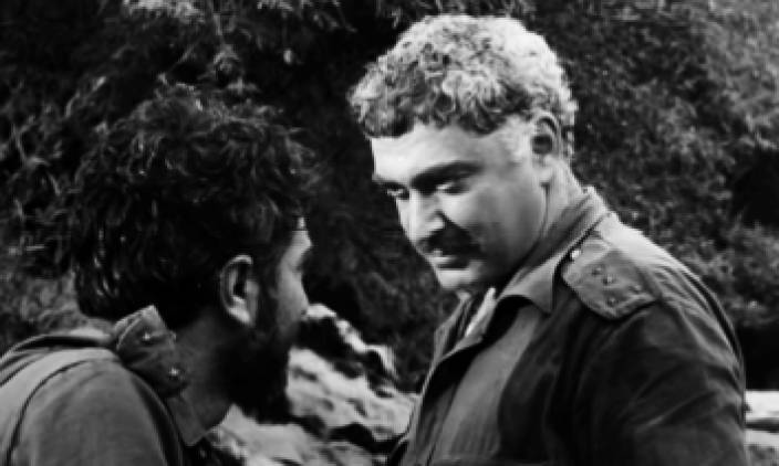 Սարոյան եղբայրներ