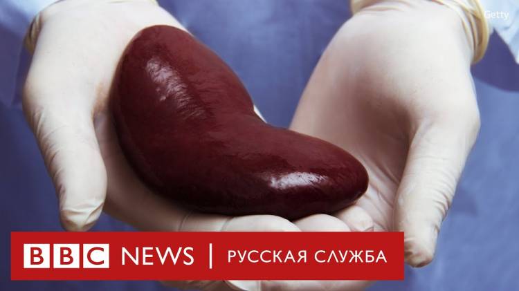 Օրգանների անօրինական վաճառք Կահիրեում․ BBC-ի ֆիլմը (տեսանյութ)
