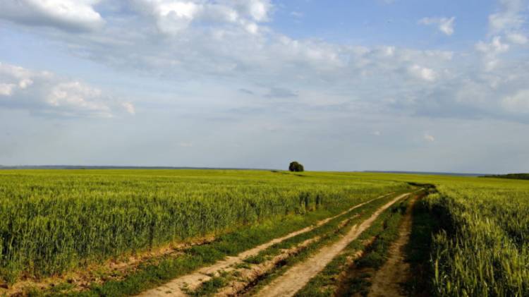 «Հրապարակ». Ես հող ծախող չեմ