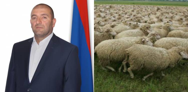 Ադրբեջանցիները ոչխարները չվերադարձնելու նոր պատճառ են գտել