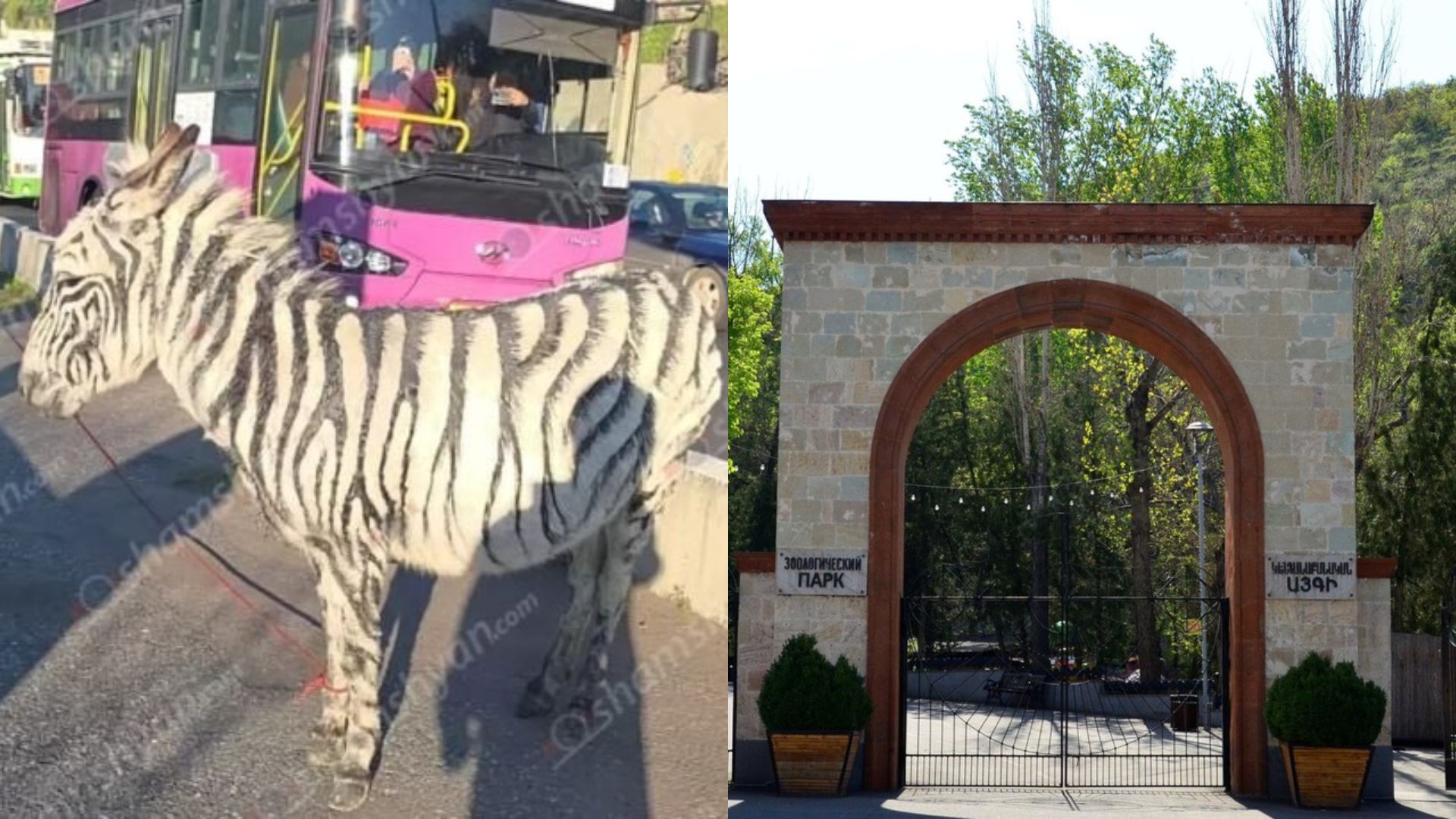 Եկեք ասենք ուղիղ․ սա ZEYRO-ի նախաձեռնությունն էր