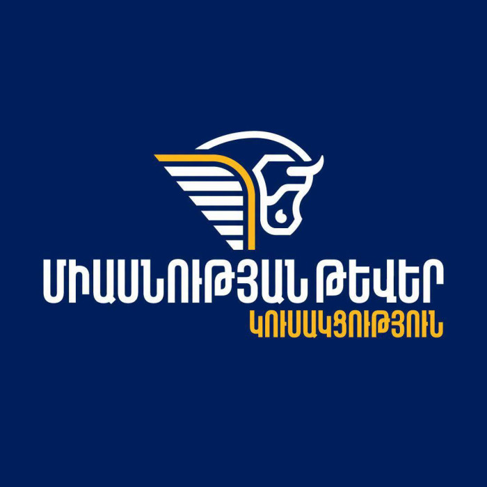 Մեզ չեն ֆինանսավորում ո՛չ նախկինները, ո՛չ օլիգարխները․ «Միասնության թևերի» պատասխանն իշխանական քարոզչությանը