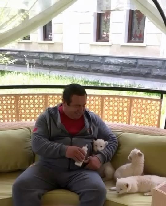 Գագիկ Ծառուկյանը՝ առյուծների հետ