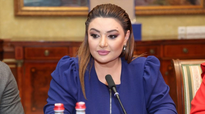 Առնվազն տարօրինակ և անընդունելի է, երբ այդ գործելակերպը որդեգրում է երկրի վարչապետը